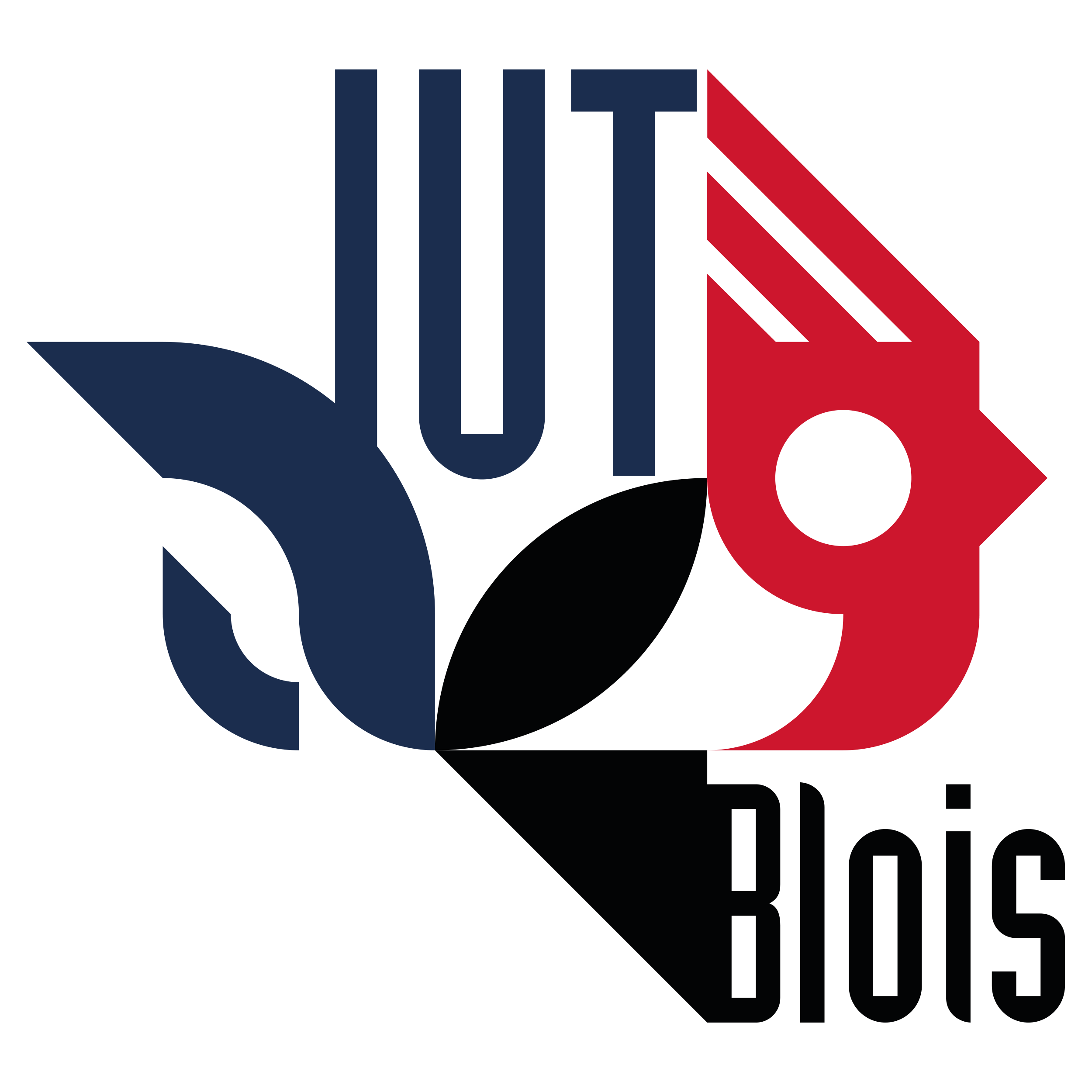Logo de la SAE202