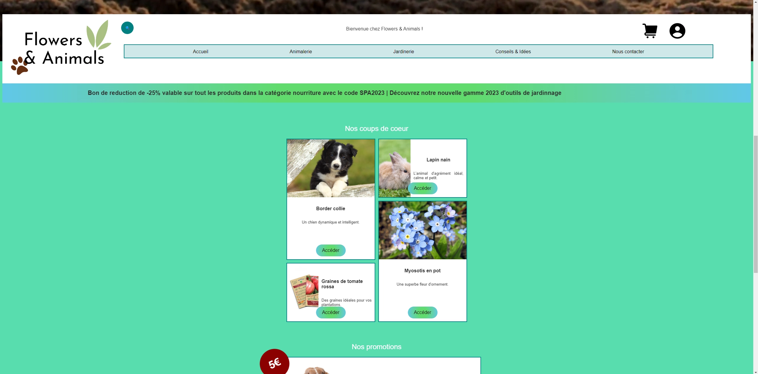Milieu de la page d'accueil de la SAE 2.03