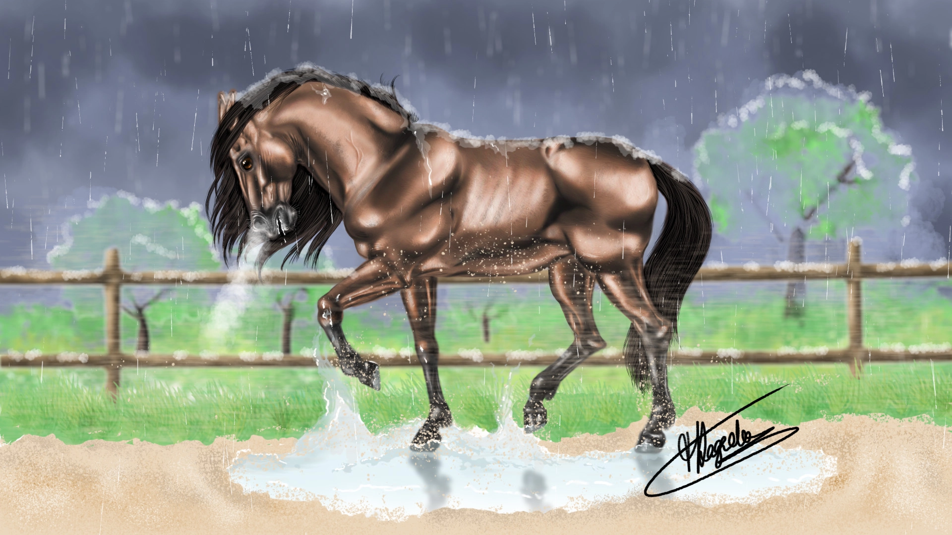 Cheval sous la pluie
