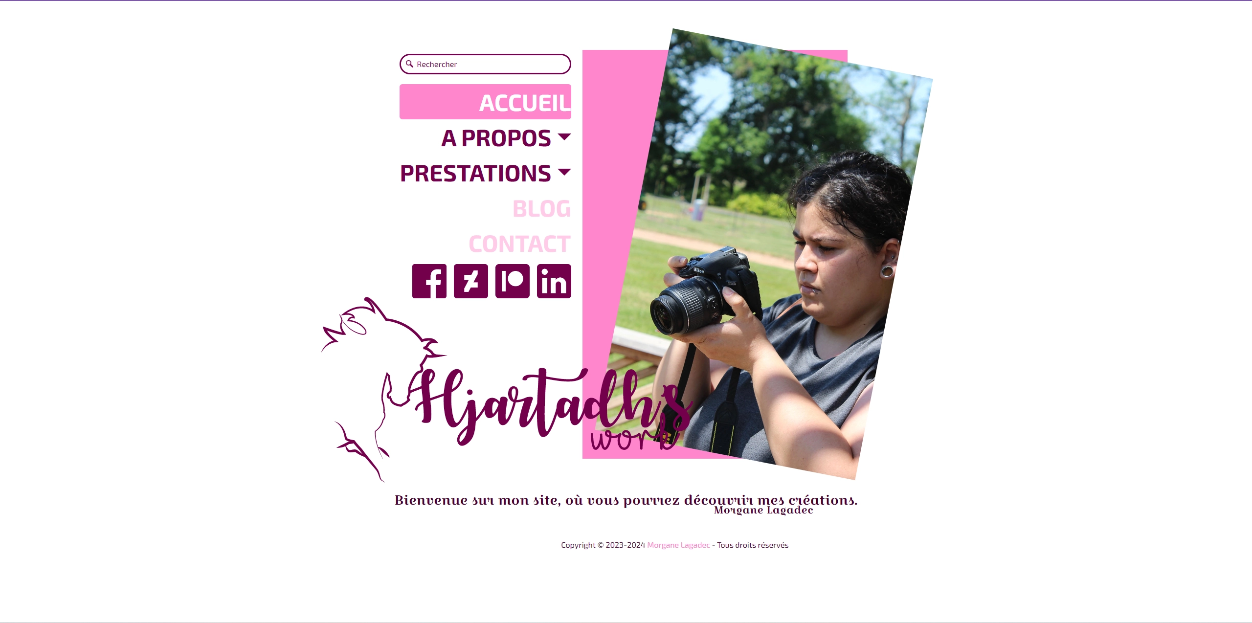 V1.1 du site
